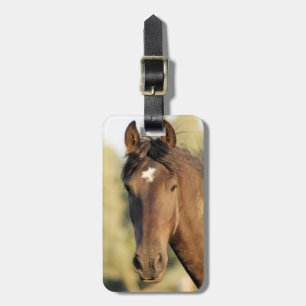 Morgan Horse Luggage Tag