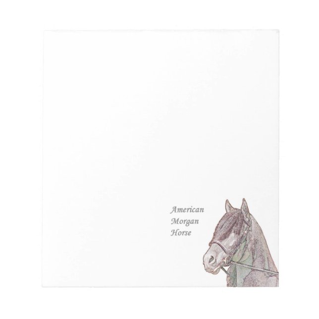 Morgan Horse Notepad (Front)
