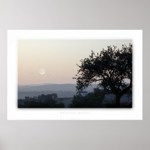 Morgenstimmung Poster