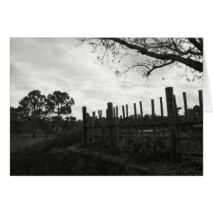 Morikami in Black & White