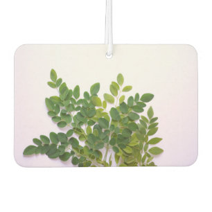 Moringa leaves with text space car air freshener