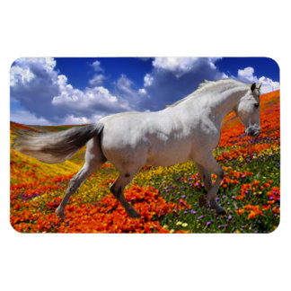 MORISCO IN SPRING FLOWERS Magnet