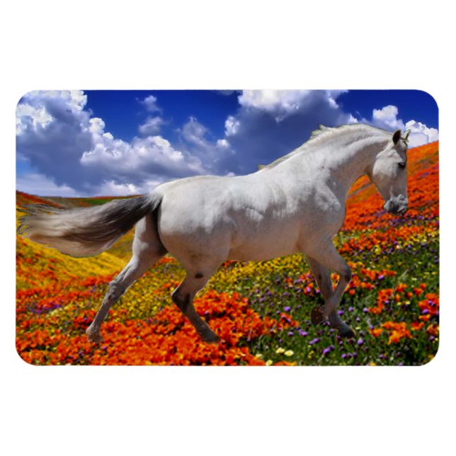 MORISCO IN SPRING FLOWERS Magnet (Horizontal)