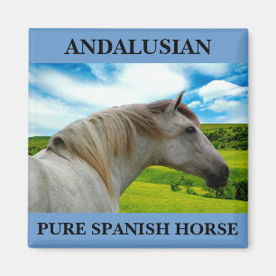 MORISCO IN SUMMER MAGNET