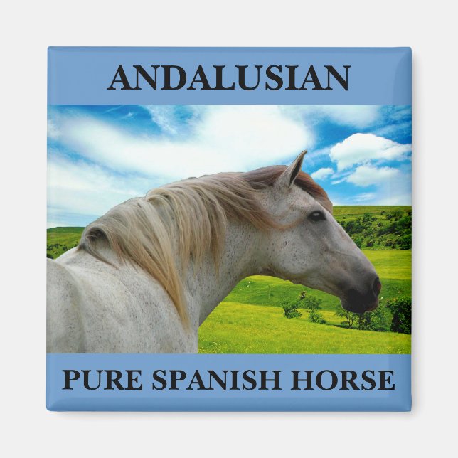 MORISCO IN SUMMER MAGNET (Front)