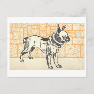 Moriz Jung Pitbull Terrier Postcard