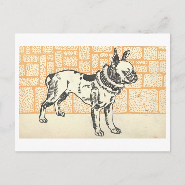 Moriz Jung Pitbull Terrier Postcard (Front)