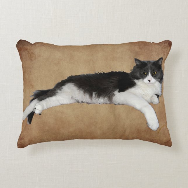 mork pillow (Front)