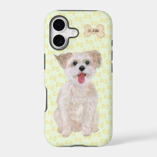 Morkie