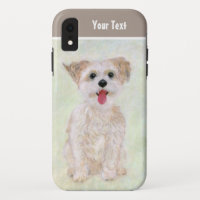 Morkie Dog