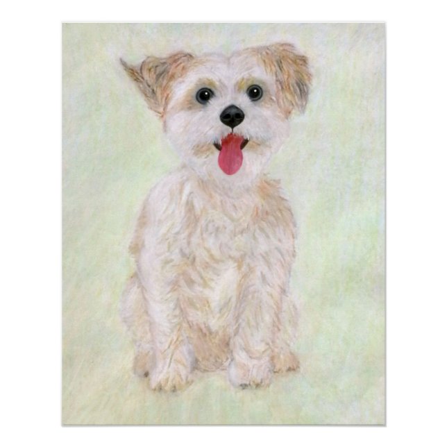 Morkie Dog Glossy Poster (Front)