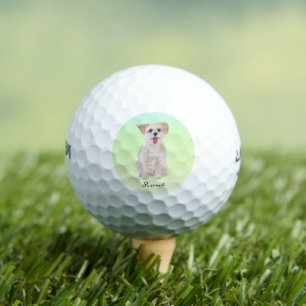 Morkie Dog Golf Balls Supersoft Calleway
