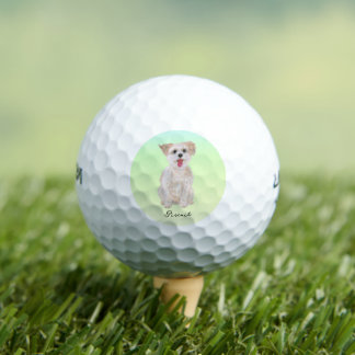 Morkie Dog Golf Balls Supersoft Calleway