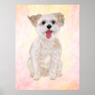 Morkie Dog Print With Colourful Background