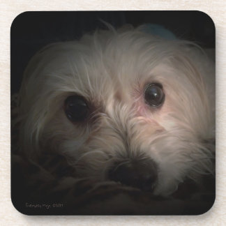 Morkie Dog Puppy Cute Rescue Coaster