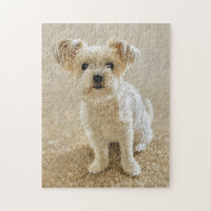 Morkie Love Jigsaw Puzzle