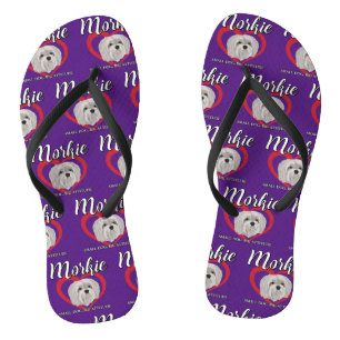 Morkie - Small Dog, Big Attitude - 3 Flip Flops