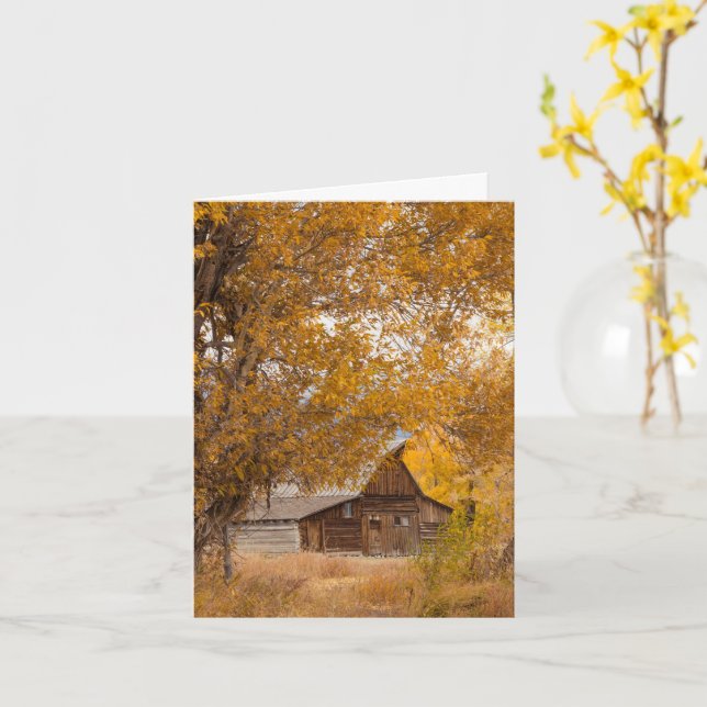 Mormon Row Greeting Card (Yellow Flower)
