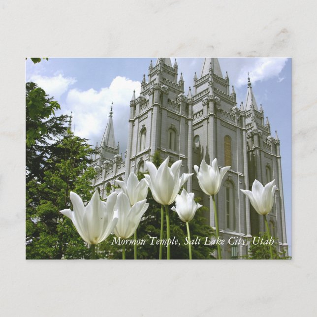 Mormon Temple, Salt Lake City, Utah Postcard (Front)