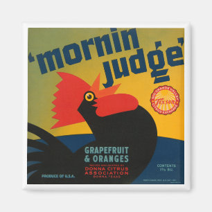 Mornin Judge Grapefruit and Oranges Magnet