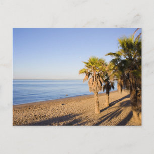 Morning at Marbella Beach in Spain Postcard