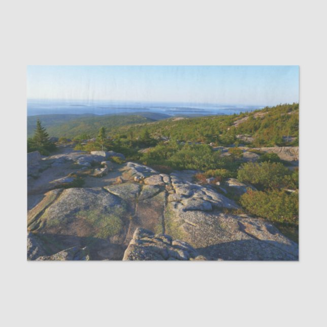 Morning atop Cadillac Mountain at Acadia Tissue Paper (Front)