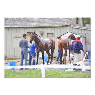 Morning Bathing Photo Print