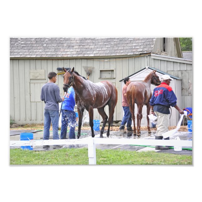 Morning Bathing Photo Print (Front)