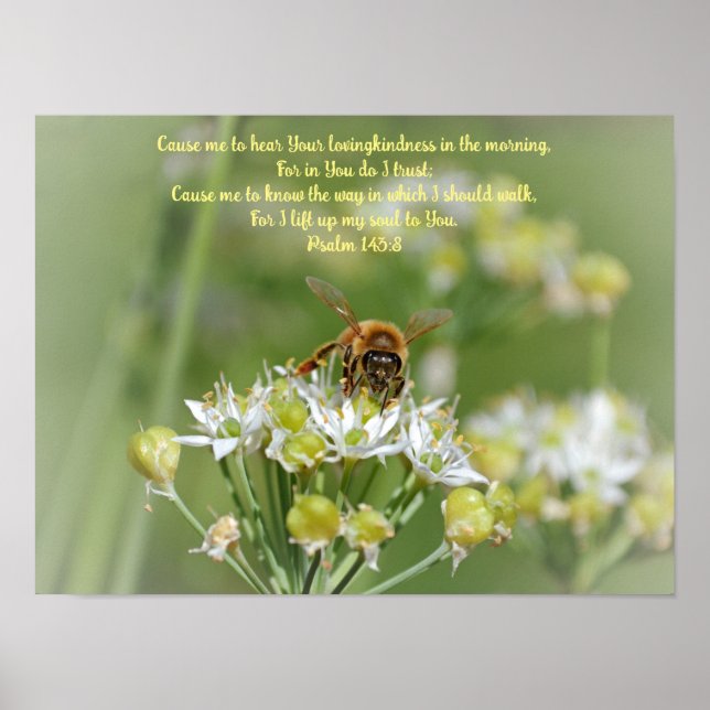 Morning Bee on Blossoms Bible Verse Art Poster (Front)