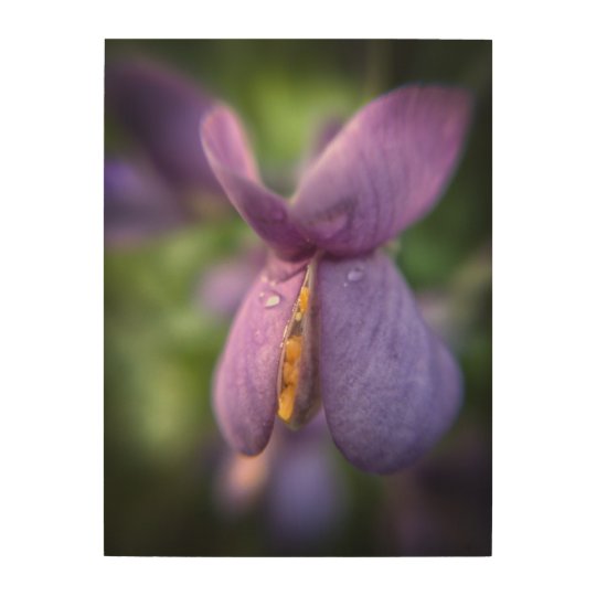 Morning Bloom on wood Wood Wall Art