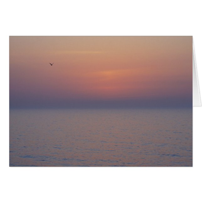 Morning Breaks (Front Horizontal)