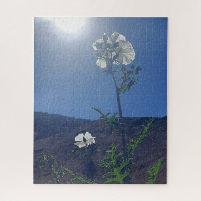 Morning Calm: Cream Blossom in Translucent Light Jigsaw Puzzle (Vertical)