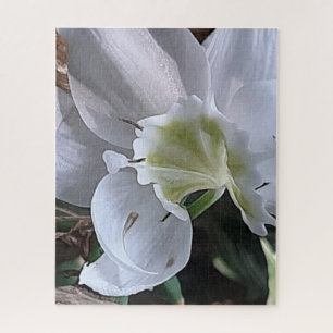 Morning Calm: White Layered Bloom in Natural Light Jigsaw Puzzle