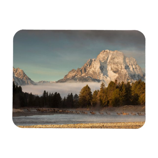 Morning Commute Magnet (Horizontal)