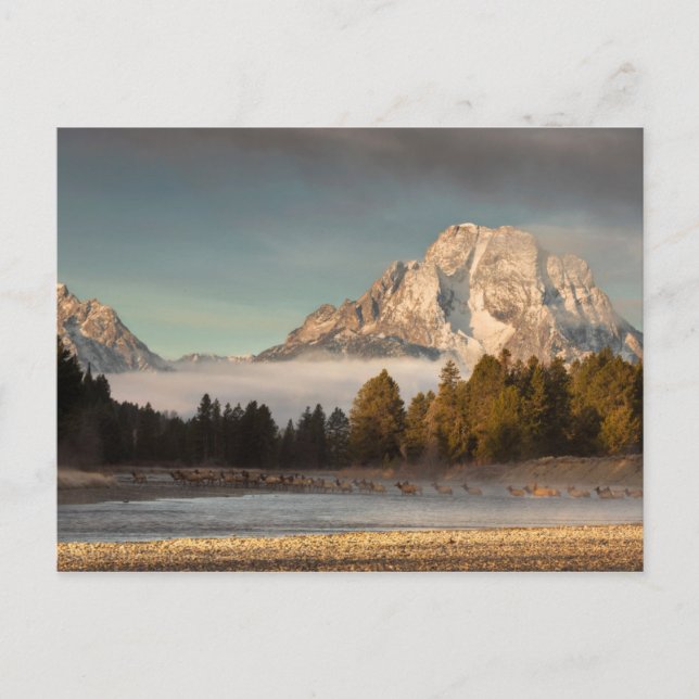 Morning Commute Postcard (Front)