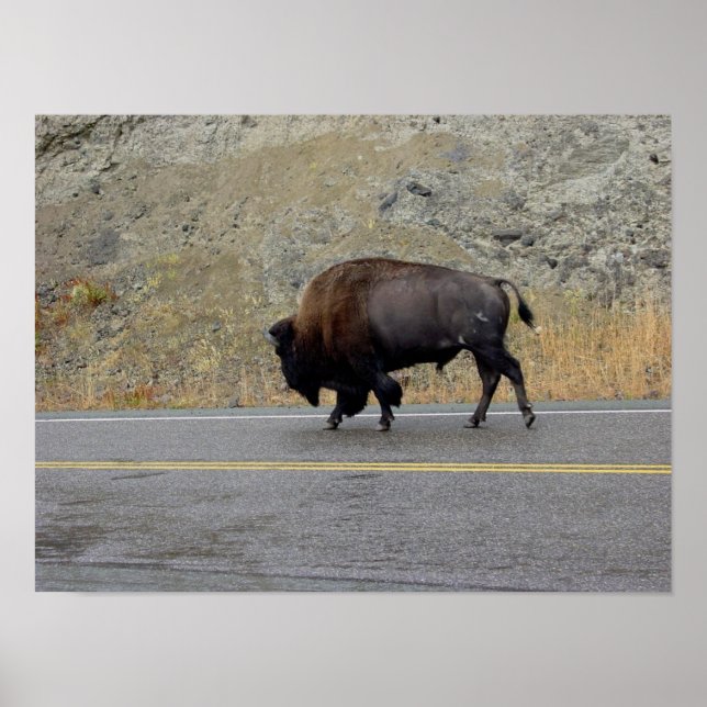 Morning Commute Poster (Front)