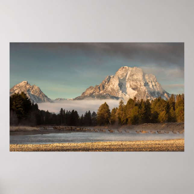 Morning Commute Poster (Front)