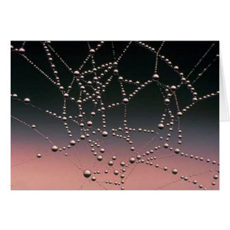 Morning Dew