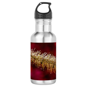 Morning Dew 532 Ml Water Bottle