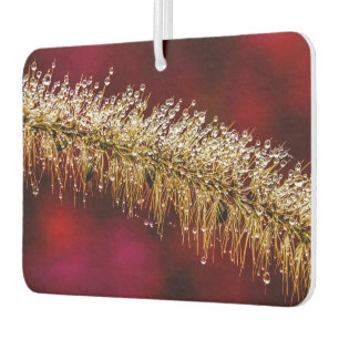 Morning Dew Car Air Freshener