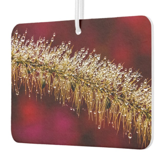 Morning Dew Car Air Freshener (Left)