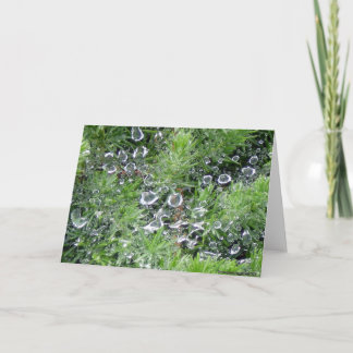 Morning Dew Card