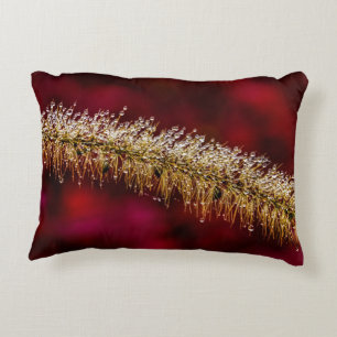 Morning Dew Decorative Cushion
