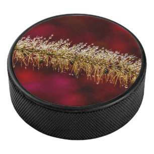 Morning Dew Hockey Puck