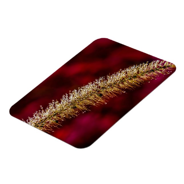 Morning Dew Magnet (Left Side)