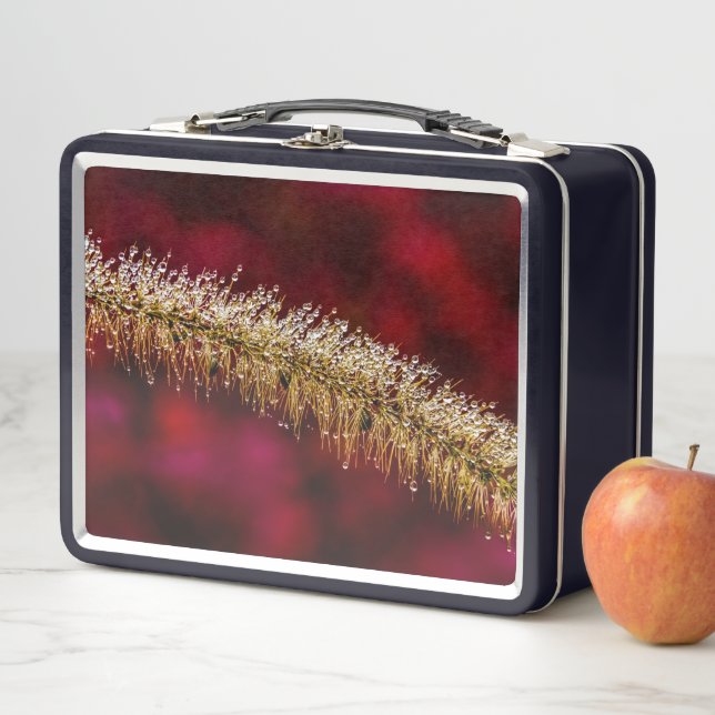 Morning Dew Metal Lunch Box (In Situ)