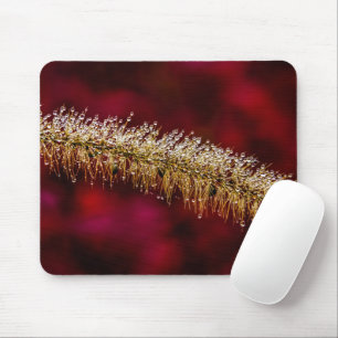 Morning Dew Mouse Mat