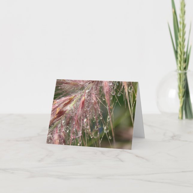 Morning Dew Note Card (Front)