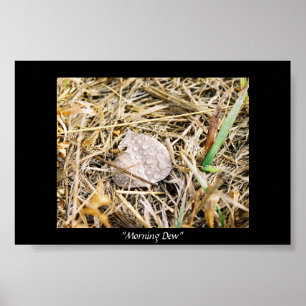 Morning Dew Poster