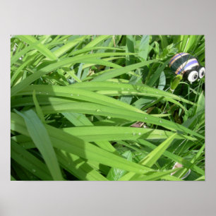 Morning dew poster